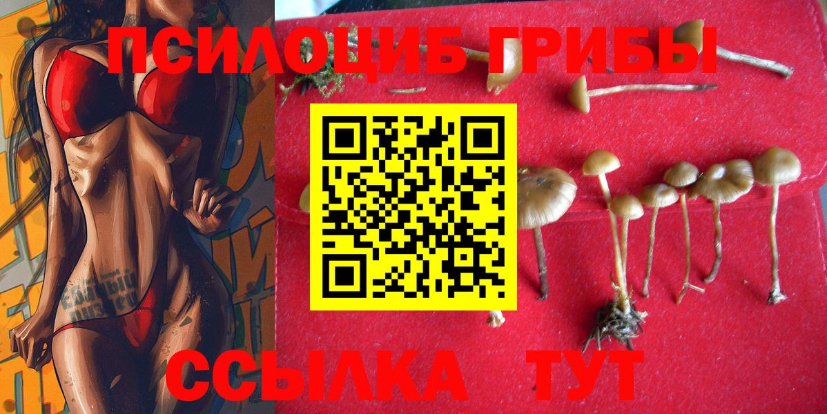 Псилоцибиновые грибы GOLDEN TEACHER Ростов-на-Дону