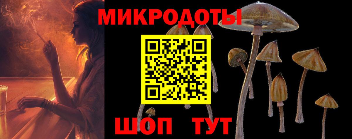 Ростов-на-Дону  купить наркоту  Вход с VPN  Псилоцибиновые грибы GOLDEN TEACHER  Псилоцибиновые грибы ЛСД 